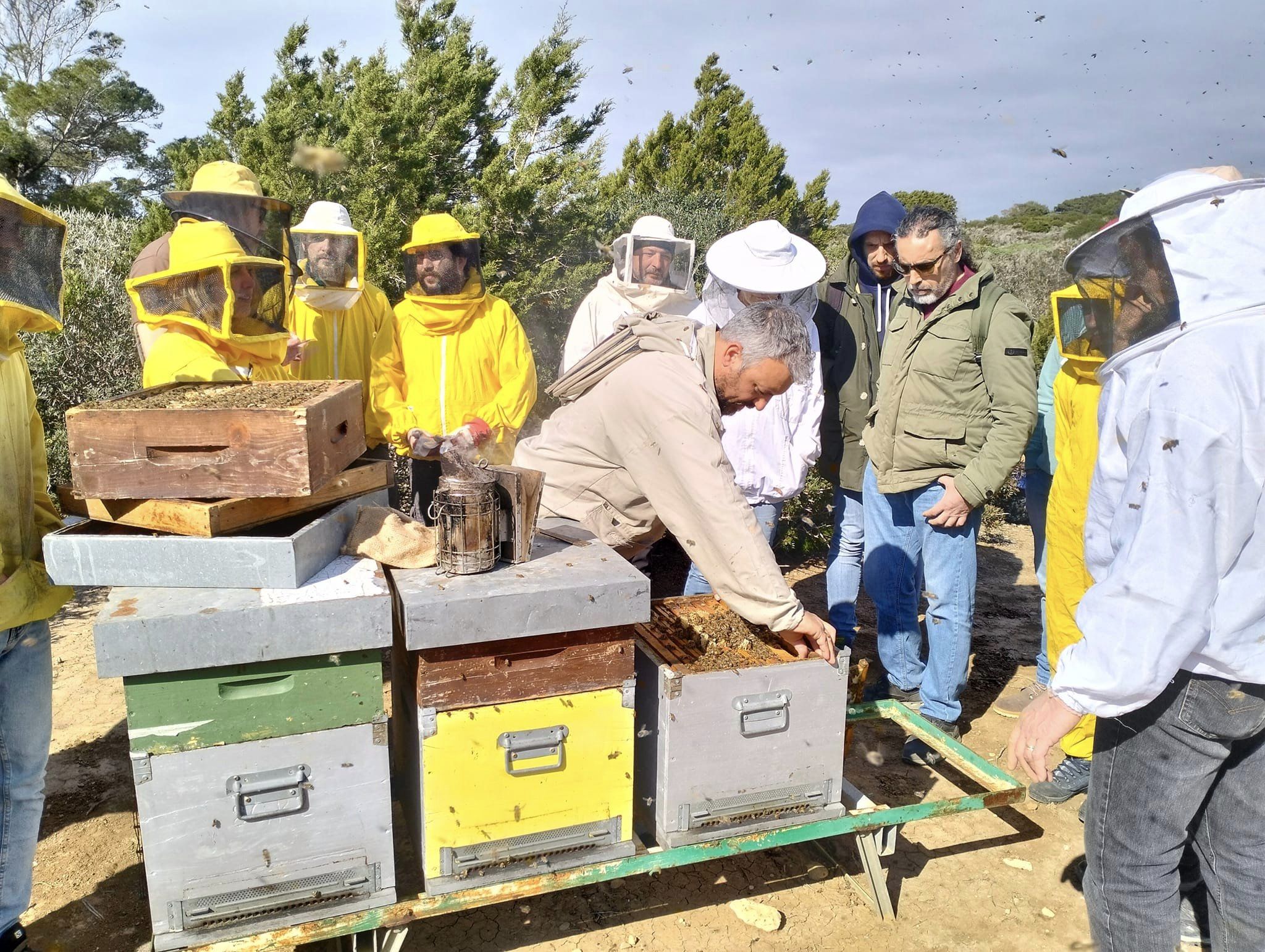 visita all'azienda apistica "la pollinosa"