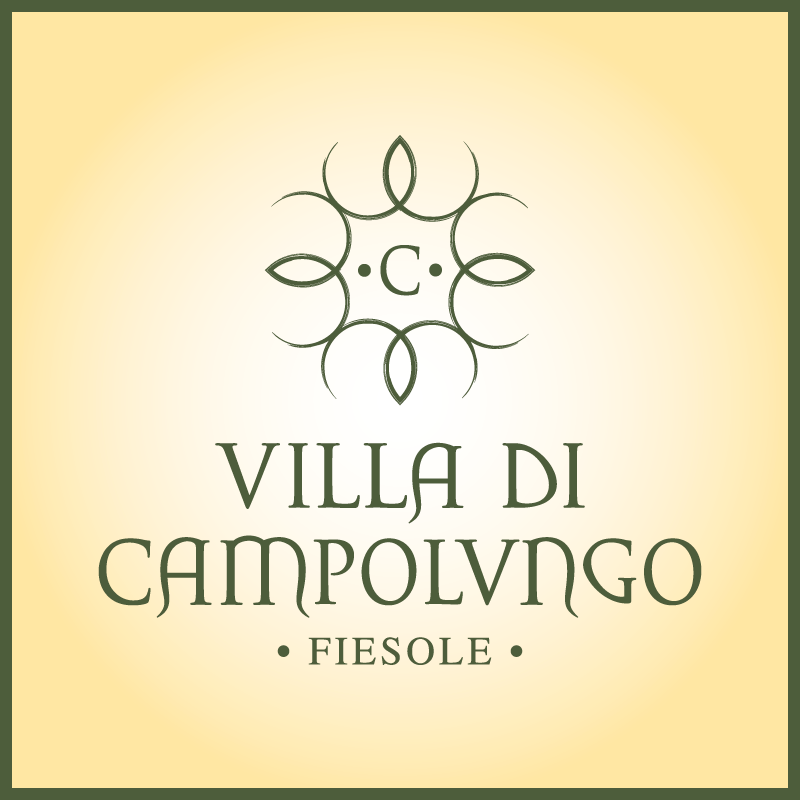 vdc - info@villadicampolungo.it